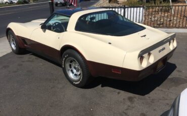 Chevrolet-Corvette-1981-144805-7