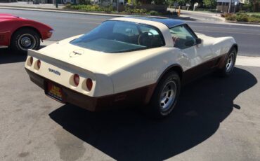 Chevrolet-Corvette-1981-144805-8