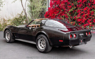 Chevrolet-Corvette-1981-Black-Other-Color-0-6