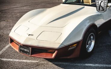 Chevrolet-Corvette-1981-Brown-Beige-142243-10