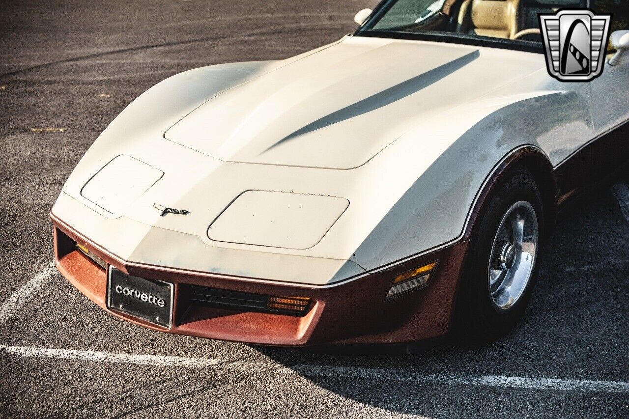 Chevrolet-Corvette-1981-Brown-Beige-142243-10