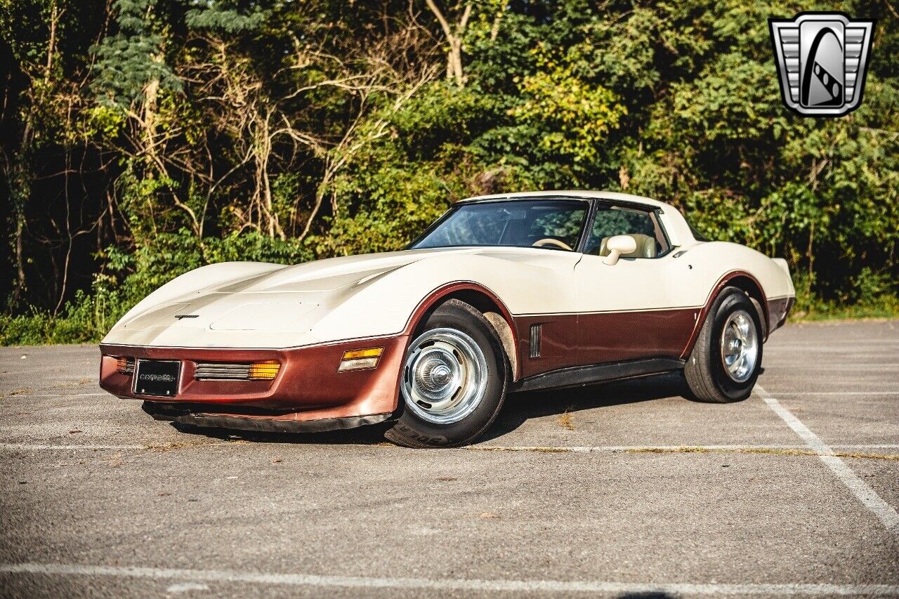 Chevrolet-Corvette-1981-Brown-Beige-142243-2