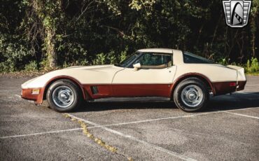 Chevrolet-Corvette-1981-Brown-Beige-142243-3