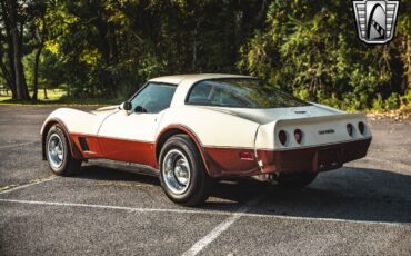 Chevrolet-Corvette-1981-Brown-Beige-142243-4