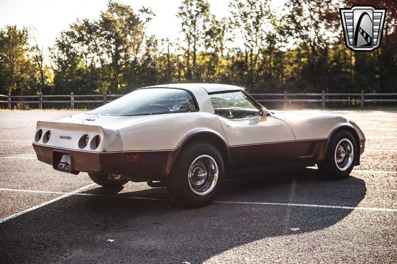 Chevrolet-Corvette-1981-Brown-Beige-142243-6