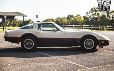 Chevrolet-Corvette-1981-Brown-Beige-142243-7