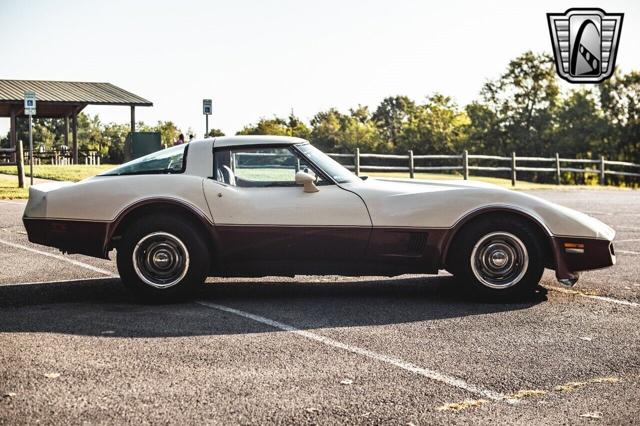 Chevrolet-Corvette-1981-Brown-Beige-142243-7