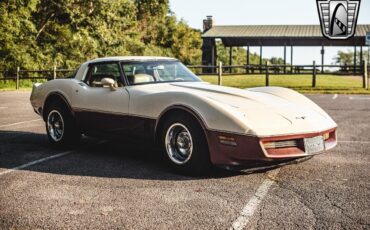 Chevrolet-Corvette-1981-Brown-Beige-142243-8