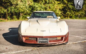 Chevrolet-Corvette-1981-Brown-Beige-142243-9