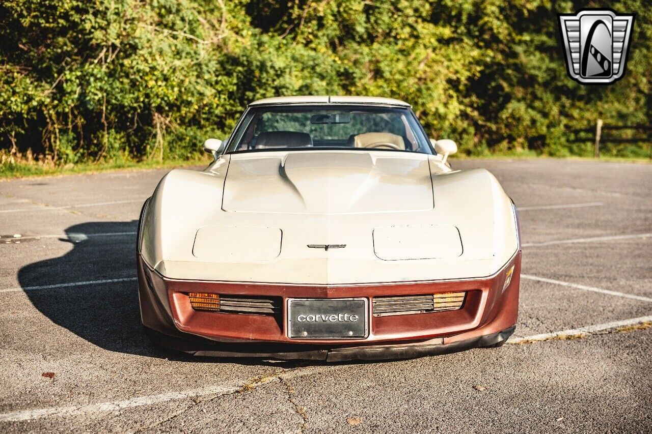 Chevrolet-Corvette-1981-Brown-Beige-142243-9