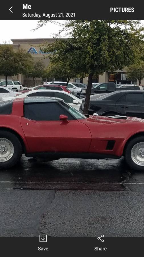 Chevrolet-Corvette-1981-red-201168-4