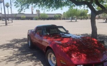 Chevrolet-Corvette-1981-red-201168-9