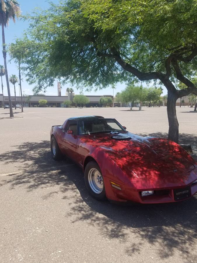 Chevrolet-Corvette-1981-red-201168-9