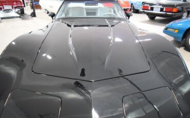 Chevrolet-Corvette-1982-25041-11