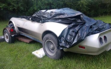 Chevrolet-Corvette-1982-silver-115872-15