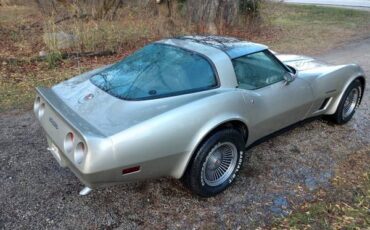 Chevrolet-Corvette-1982-silver-115872