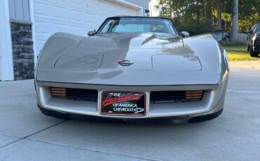 Chevrolet-Corvette-1982-silver-123919-1