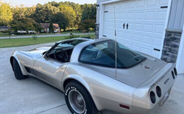 Chevrolet-Corvette-1982-silver-123919-3