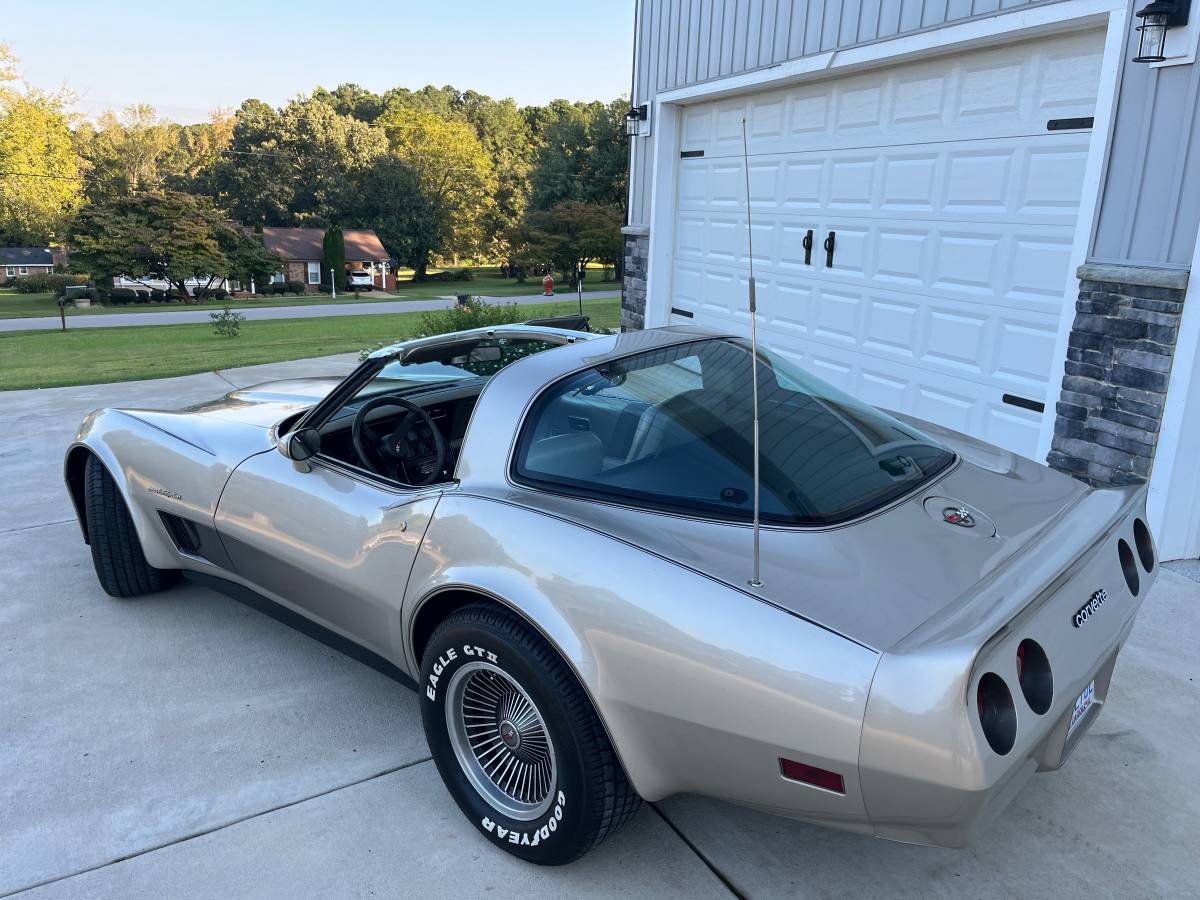 Chevrolet-Corvette-1982-silver-123919-3