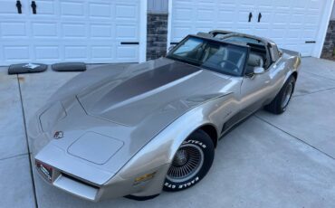 Chevrolet-Corvette-1982-silver-123919-4