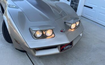 Chevrolet-Corvette-1982-silver-123919-5