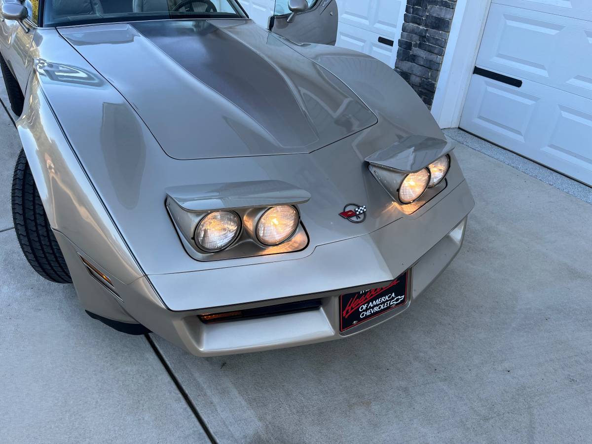 Chevrolet-Corvette-1982-silver-123919-5