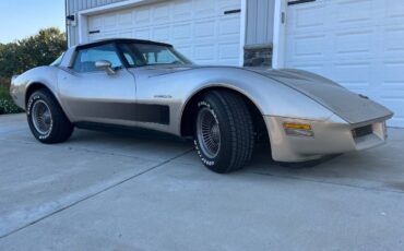 Chevrolet-Corvette-1982-silver-123919-7