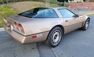 Chevrolet-Corvette-1984-Brown-13277-14