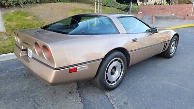 Chevrolet-Corvette-1984-Brown-13277-14