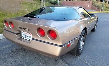 Chevrolet-Corvette-1984-Brown-13277-2