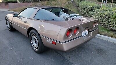 Chevrolet-Corvette-1984-Brown-13277-6