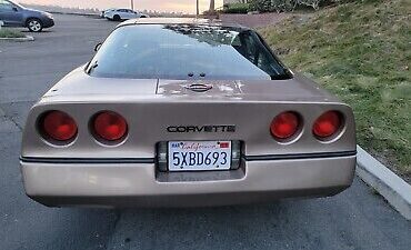 Chevrolet-Corvette-1984-Brown-13277-7