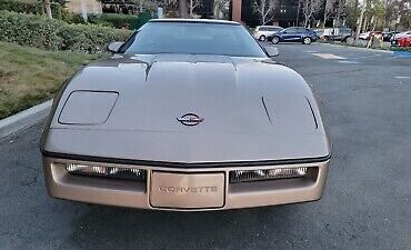 Chevrolet-Corvette-1984-Brown-13277-8