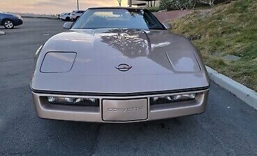 Chevrolet-Corvette-1984-Brown-13277-9