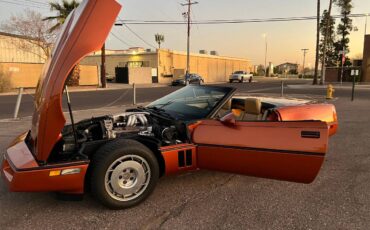 Chevrolet-Corvette-1987-167371-11