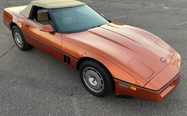 Chevrolet-Corvette-1987-167371-7