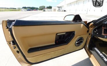 Chevrolet-Corvette-1987-Gold-Saddle-89351-10