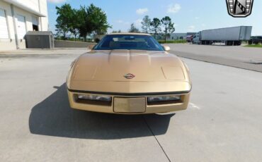 Chevrolet-Corvette-1987-Gold-Saddle-89351-2