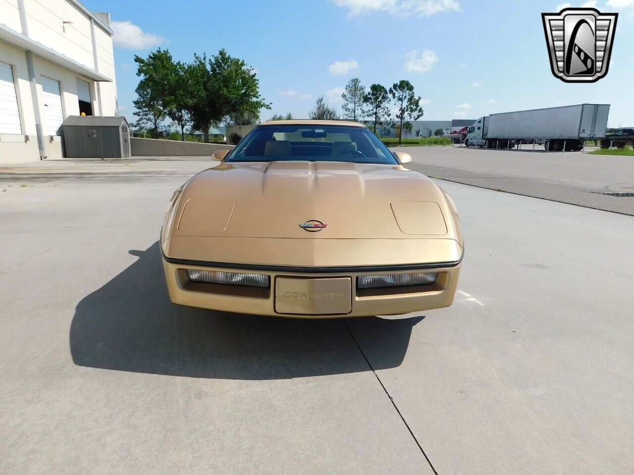 Chevrolet-Corvette-1987-Gold-Saddle-89351-2