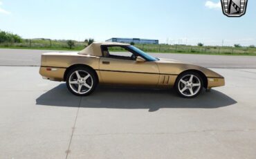 Chevrolet-Corvette-1987-Gold-Saddle-89351-3