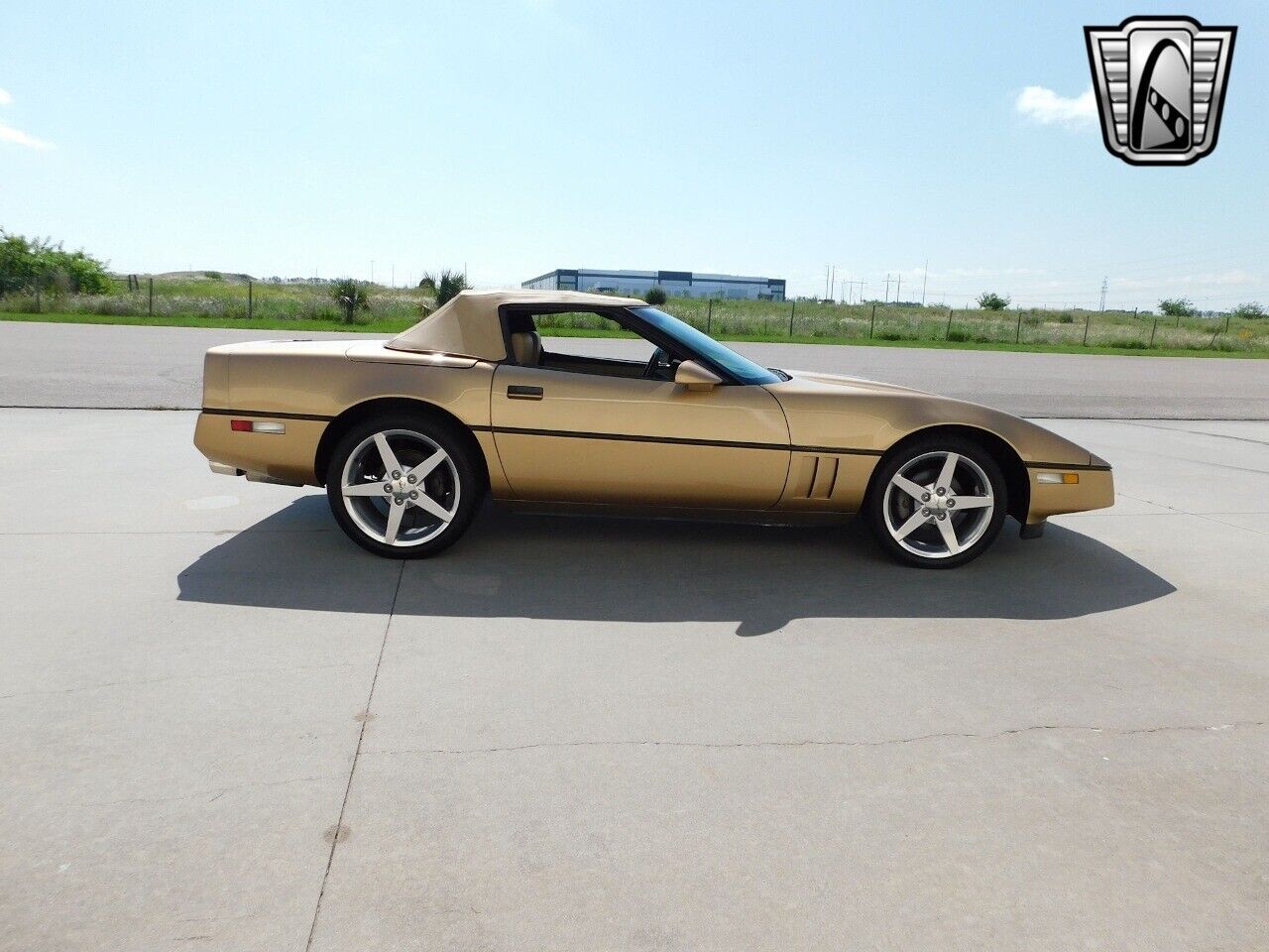 Chevrolet-Corvette-1987-Gold-Saddle-89351-3