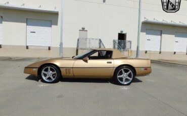 Chevrolet-Corvette-1987-Gold-Saddle-89351-5