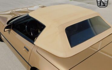 Chevrolet-Corvette-1987-Gold-Saddle-89351-6