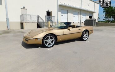 Chevrolet-Corvette-1987-Gold-Saddle-89351-8