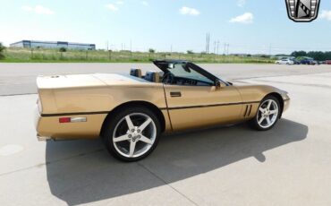 Chevrolet-Corvette-1987-Gold-Saddle-89351-9