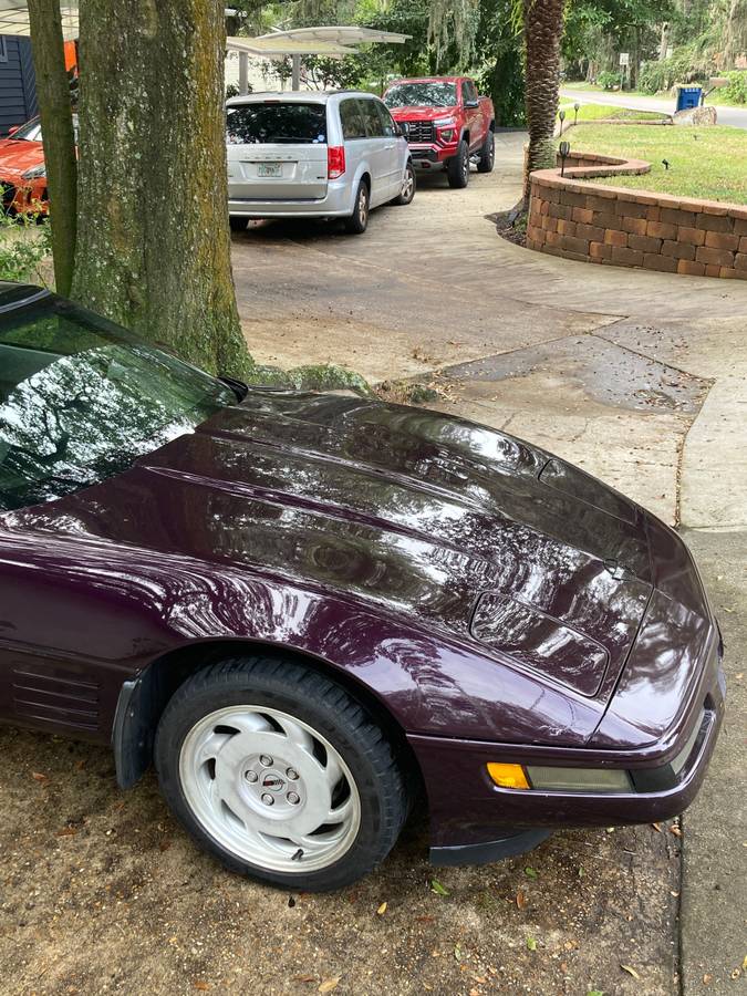 Chevrolet-Corvette-1992-purple-140013-3