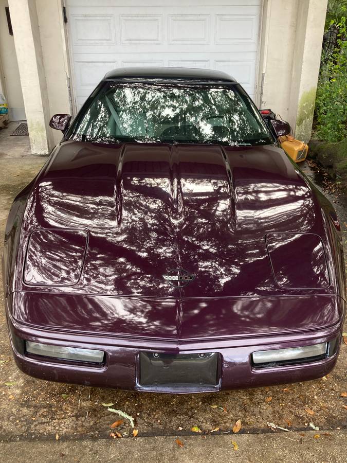 Chevrolet-Corvette-1992-purple-140013-4