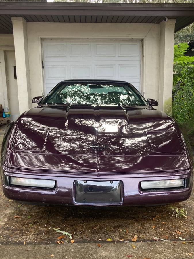 Chevrolet-Corvette-1992-purple-140013-5