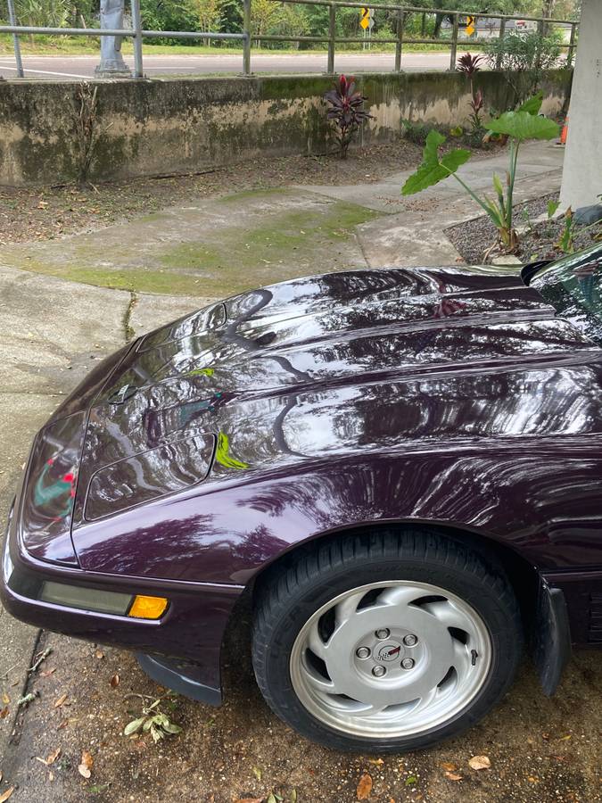 Chevrolet-Corvette-1992-purple-140013-6