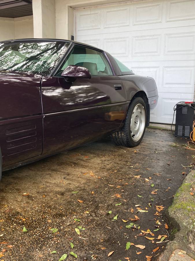 Chevrolet-Corvette-1992-purple-140013-7